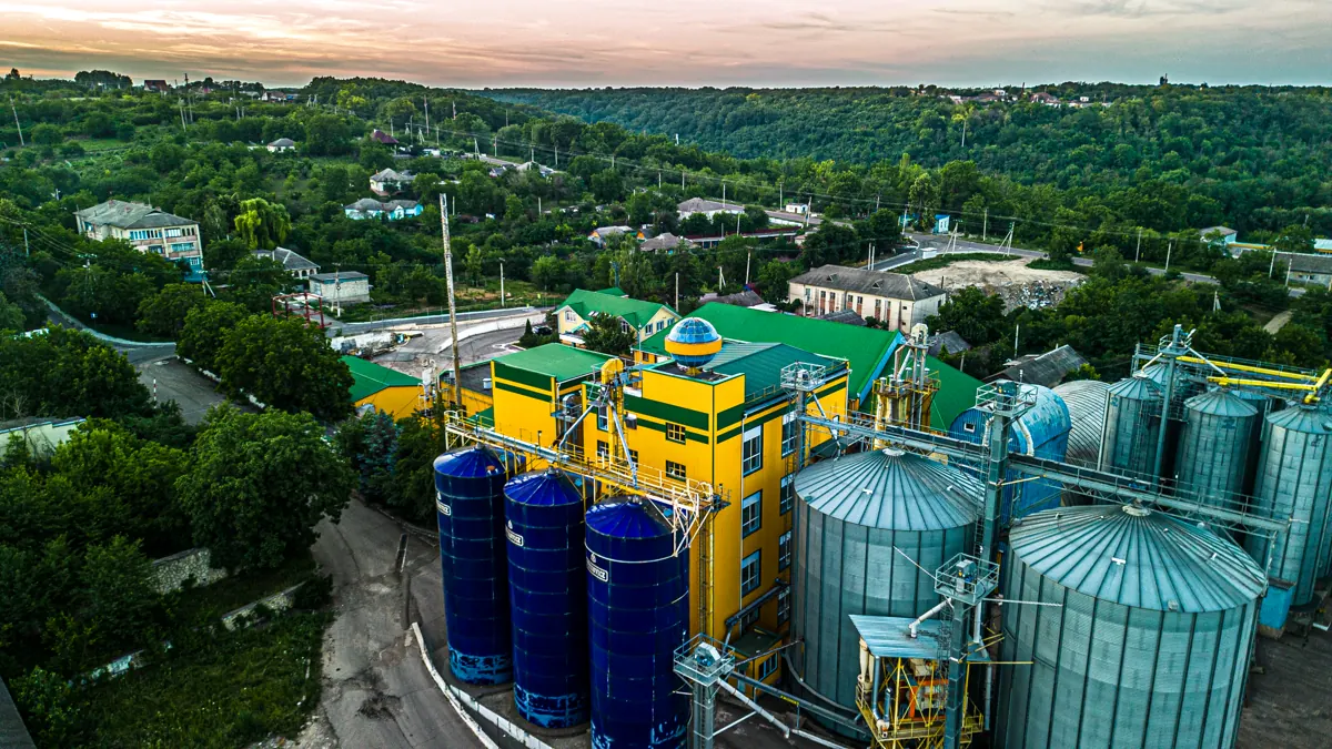 The Crown plant from the air