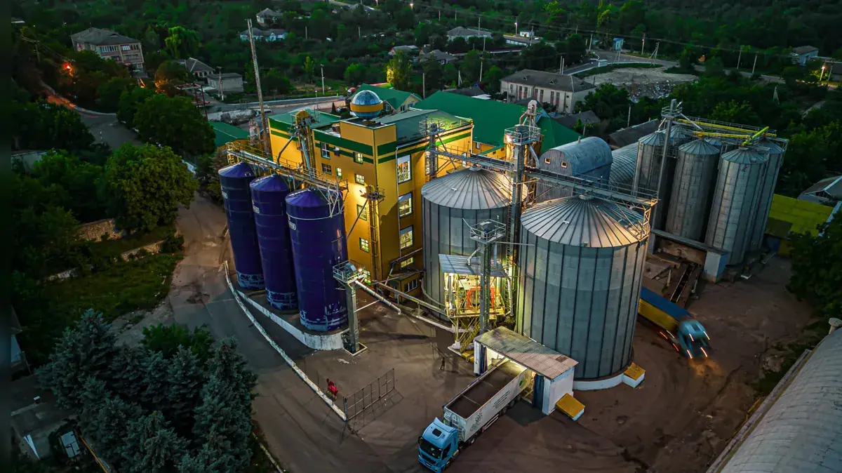 Crown plant in Soroca at dusk — 34 F. Budde St., Soroca, Moldova