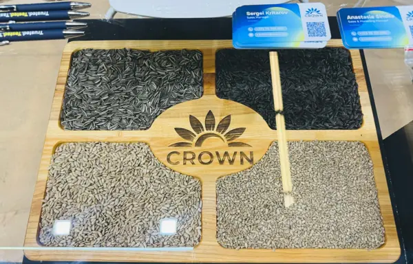 Seeds, kernels and chips, side by side