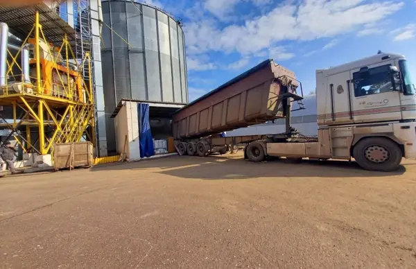 Our own trucks bring the seed in
