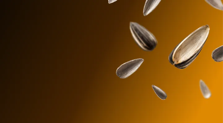 Sunflower hulls and by-products for pellets and pressing