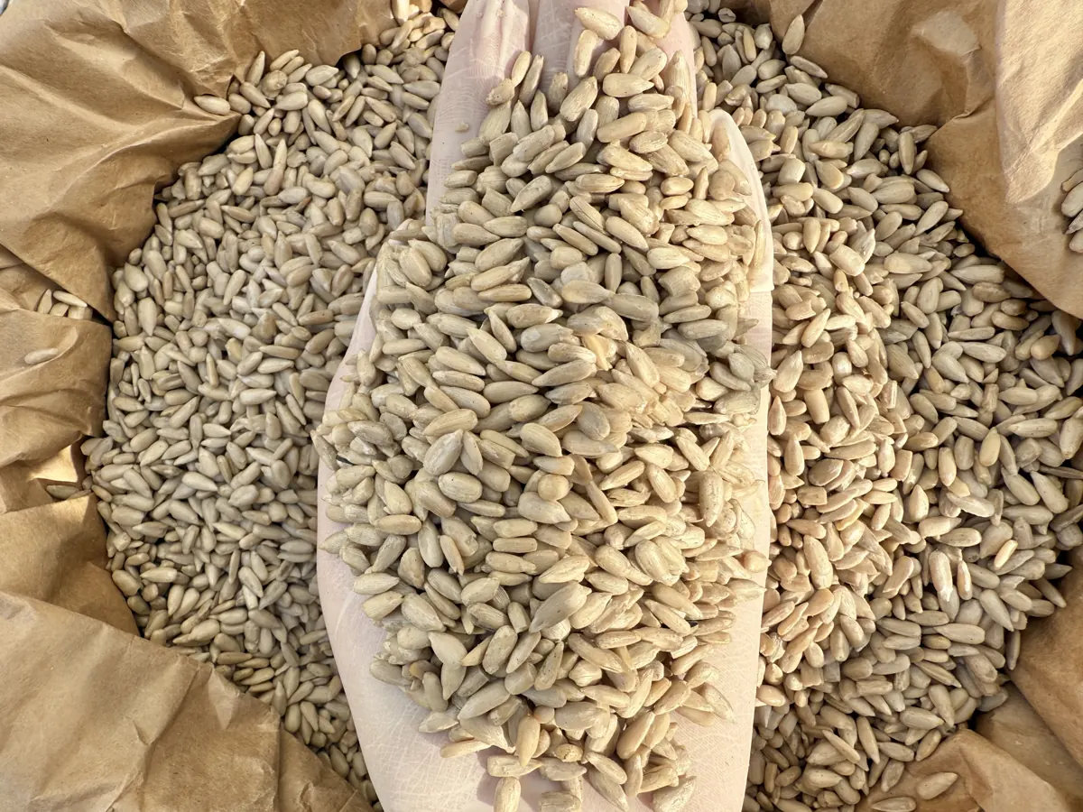 Finished sunflower kernels in the bag